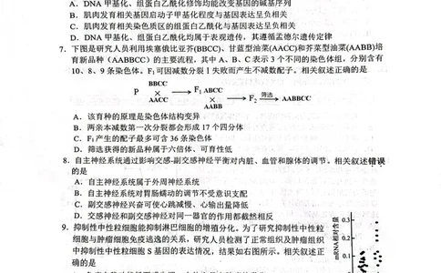 2025届江苏省高品质高中高三下学期5月调研测试生物试卷_2025年5月_05192025届江苏省高品质高中高三下学期5月调研测试_2025届江苏省高品质高中高三下学期5月调研测试生物试卷