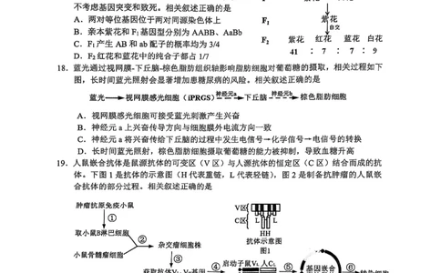 2025届江苏省高品质高中高三下学期5月调研测试生物试卷_2025年5月_05192025届江苏省高品质高中高三下学期5月调研测试_2025届江苏省高品质高中高三下学期5月调研测试生物试卷