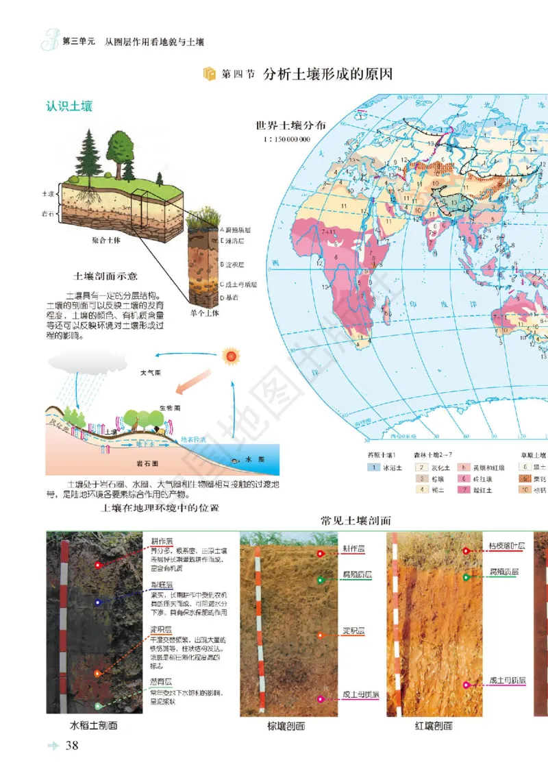 鲁教版地理必修第一册地理图册_4-教培资料-26年最新资料-同步更新_初中高中教资_03科三专项（进去保存报考的学科即可）_02科三专项（笔记真题思维导图教学设计版本二）