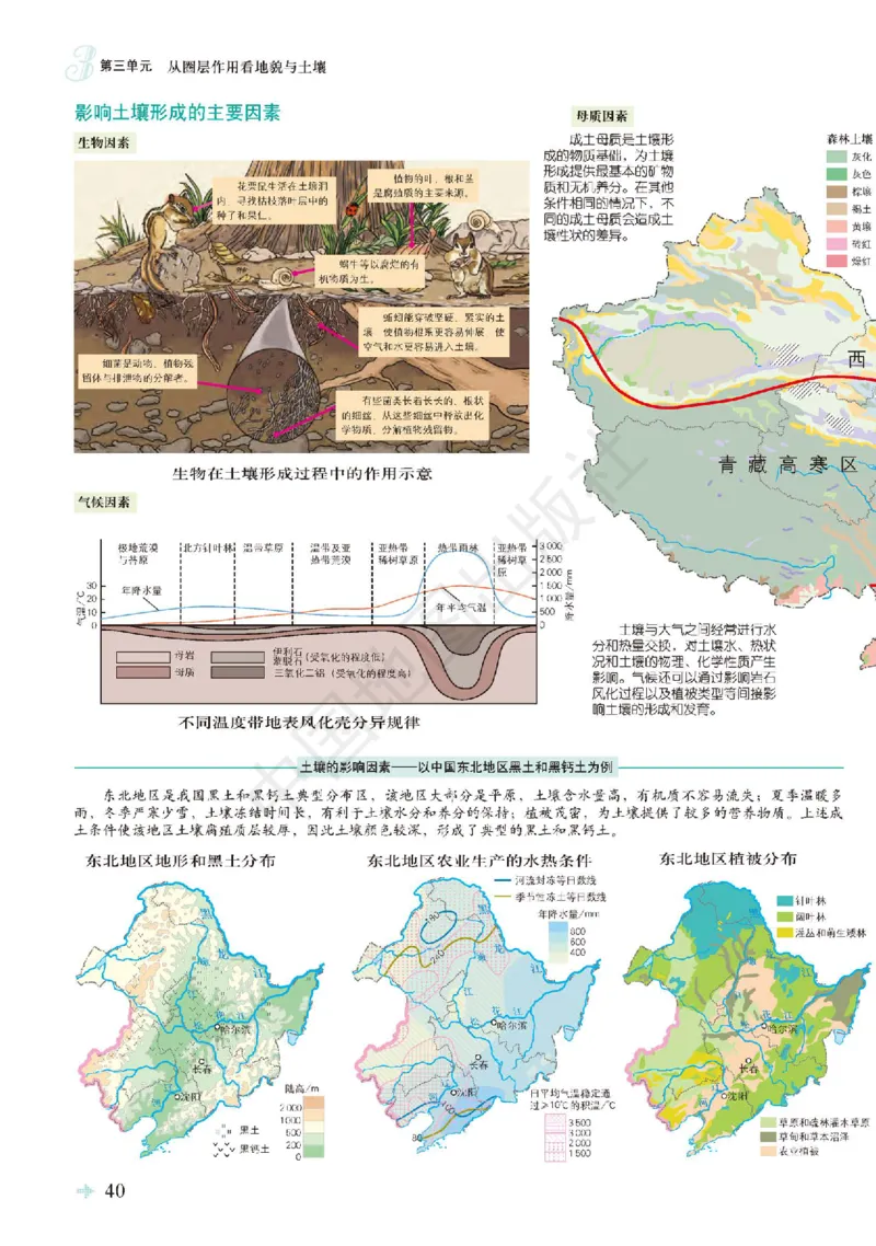 鲁教版地理必修第一册地理图册_4-教培资料-26年最新资料-同步更新_初中高中教资_03科三专项（进去保存报考的学科即可）_02科三专项（笔记真题思维导图教学设计版本二）