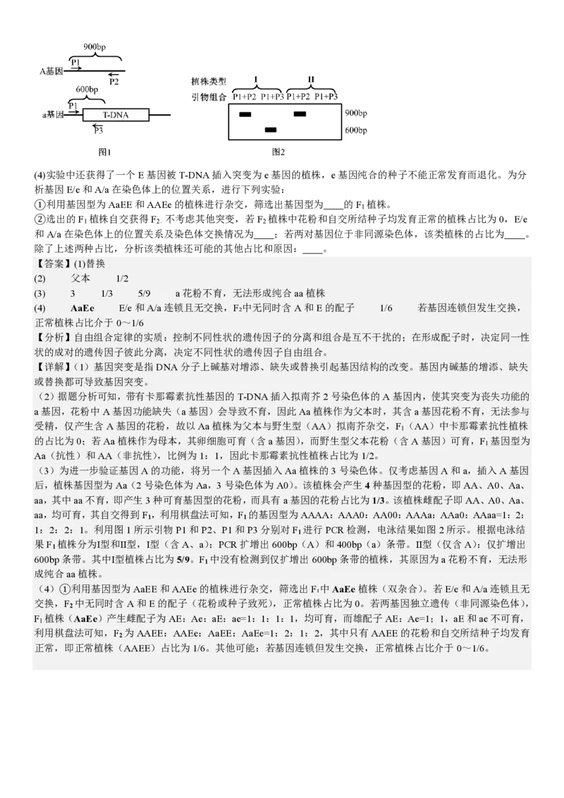 河北生物-答案_1.高考2025全国各省真题+答案_00.2025各省市高考真题及答案（按省份分类）_9、河北卷（全科，持续更新）_6.生物