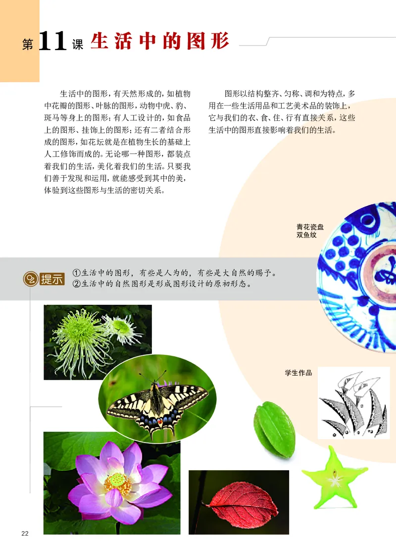 辽海版7年级美术上册高清教材_4-教培资料-26年最新资料-同步更新_初中高中教资_03科三专项（进去保存报考的学科即可）_02科三专项（笔记真题思维导图教学设计版本二）