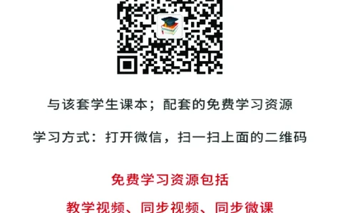 辽海版7年级美术上册高清教材_4-教培资料-26年最新资料-同步更新_初中高中教资_03科三专项（进去保存报考的学科即可）_02科三专项（笔记真题思维导图教学设计版本二）