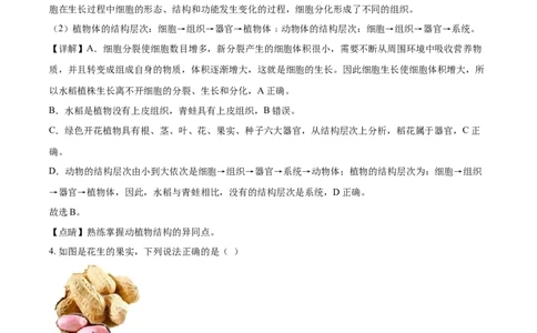 精品解析：山东省淄博市2021年中考生物试题（解析版）_中考真题_8.生物中考真题2015-2024年_2021中考生物真题64份_2021山东省_精品解析：山东省淄博市2021年中考生物试题