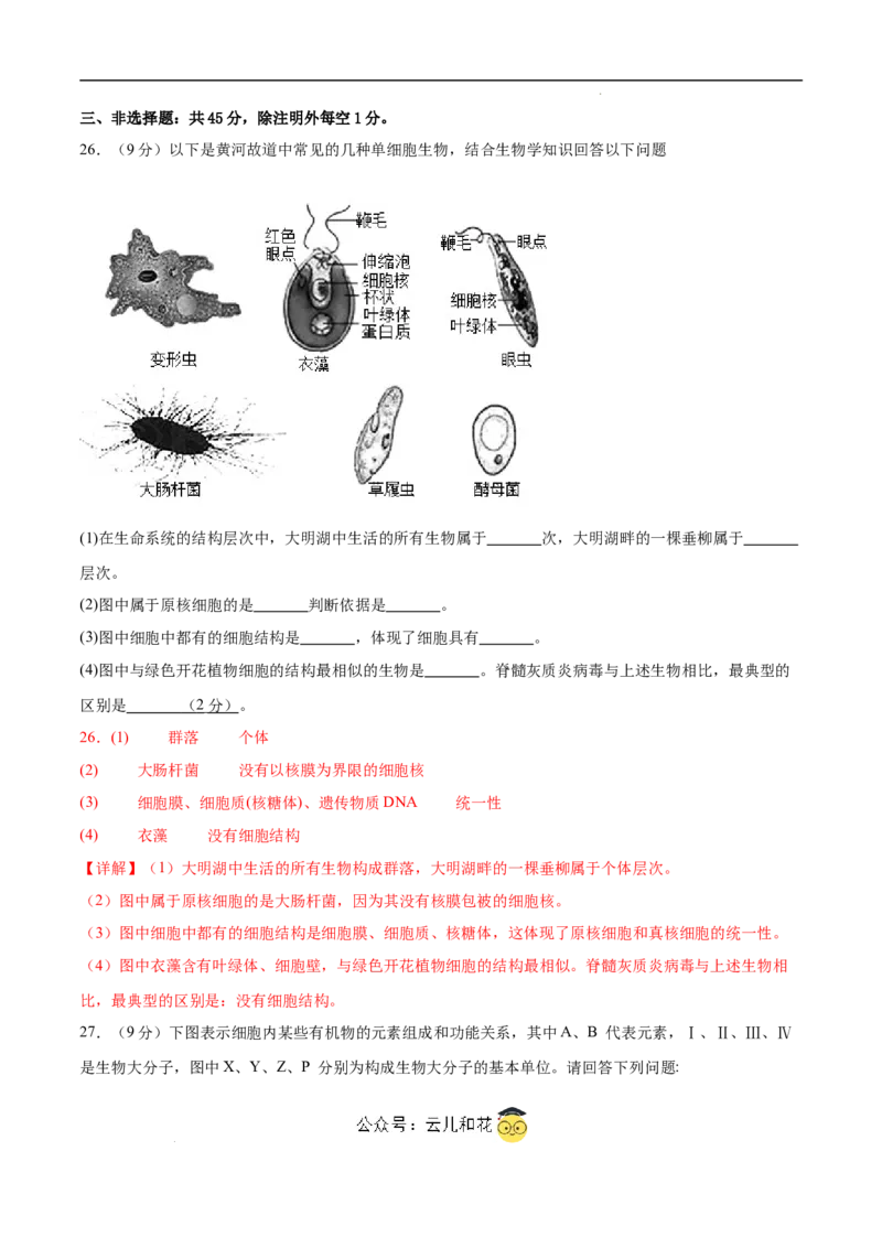 高一生物第一次月考卷（江苏专用）（全解全析）_1多考区联考试卷_0922黄金卷：2024-2025学年高一上学期第一次月考9科word解析版含答题卡（江苏专用）