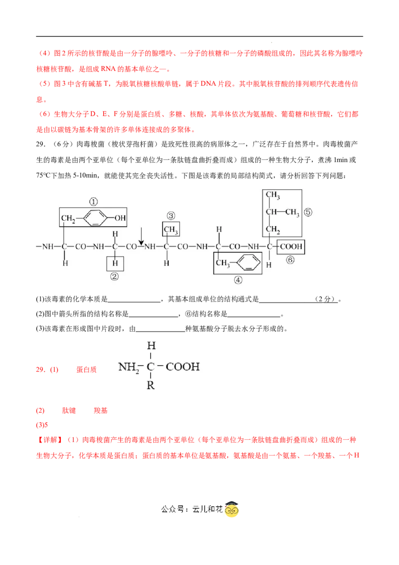 高一生物第一次月考卷（江苏专用）（全解全析）_1多考区联考试卷_0922黄金卷：2024-2025学年高一上学期第一次月考9科word解析版含答题卡（江苏专用）