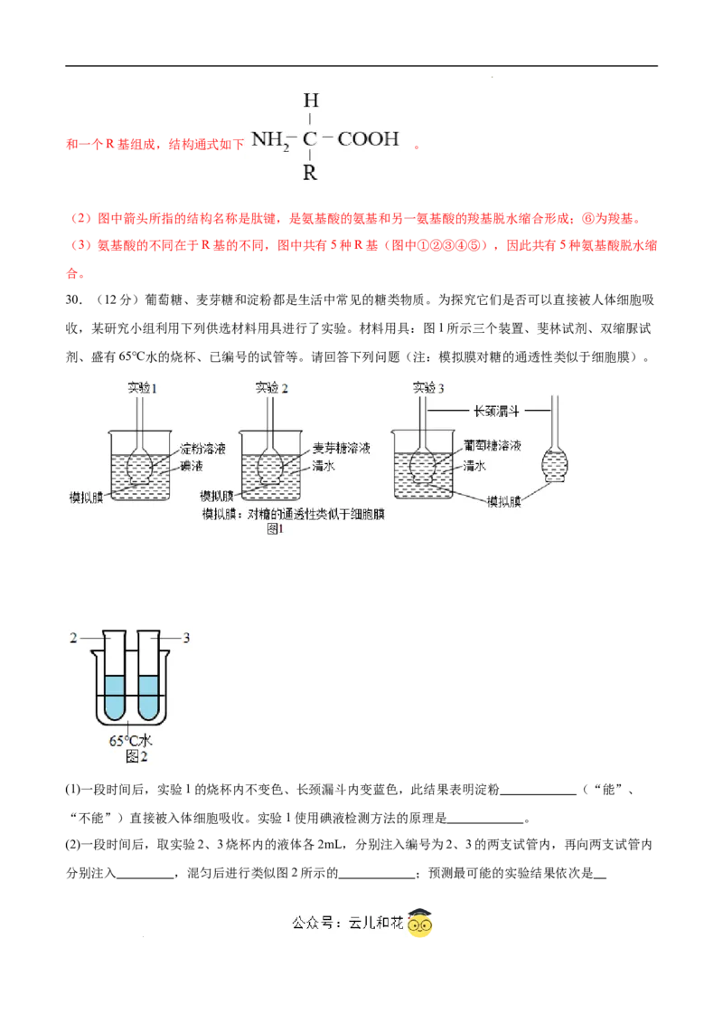 高一生物第一次月考卷（江苏专用）（全解全析）_1多考区联考试卷_0922黄金卷：2024-2025学年高一上学期第一次月考9科word解析版含答题卡（江苏专用）