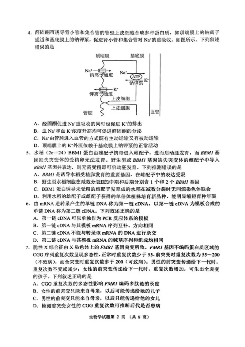 2025年1月河南省普通高等学校招生考试适应性测试（八省联考）生物试卷（河南）扫描版无答案_2025年1月_2501062025年高考综合改革适应性演练（八省联考）