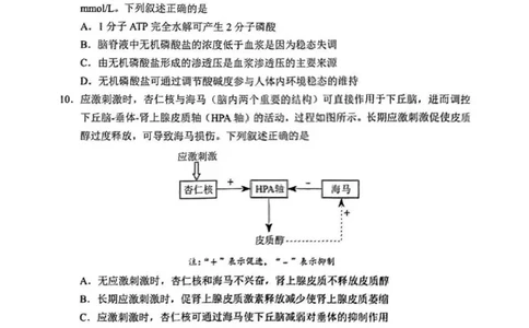 2025年1月河南省普通高等学校招生考试适应性测试（八省联考）生物试卷（河南）扫描版无答案_2025年1月_2501062025年高考综合改革适应性演练（八省联考）