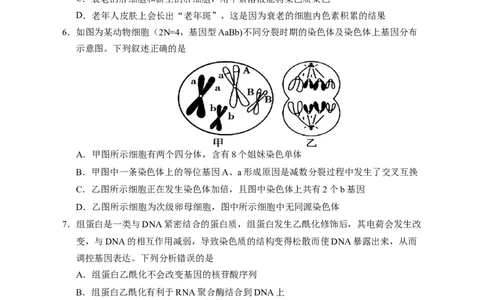 2025届高三第二次模拟生物试卷_2025年4月_2504232025届宁夏回族自治区银川一中高三下学期二模(全科）_2025届宁夏回族自治区银川一中高三第二次模拟生物试卷