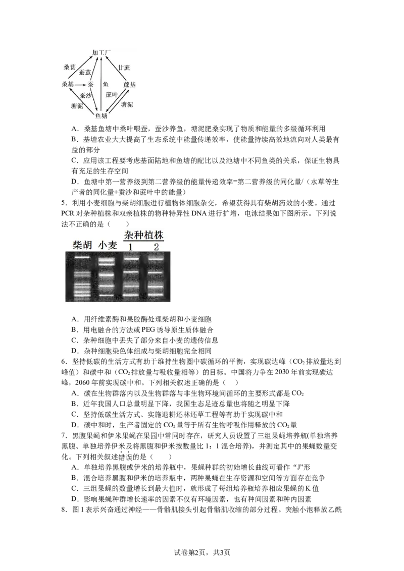 南昌十九中2024-2025学年第二学期2月月考高三生物+答案_2025年2月_250223江西省南昌市第十九中学2024-2025学年高三下学期2月月考（全科）