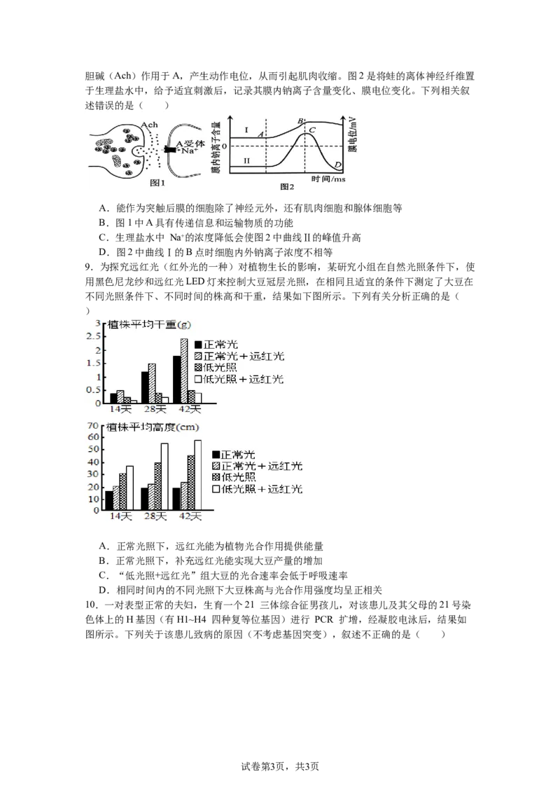 南昌十九中2024-2025学年第二学期2月月考高三生物+答案_2025年2月_250223江西省南昌市第十九中学2024-2025学年高三下学期2月月考（全科）