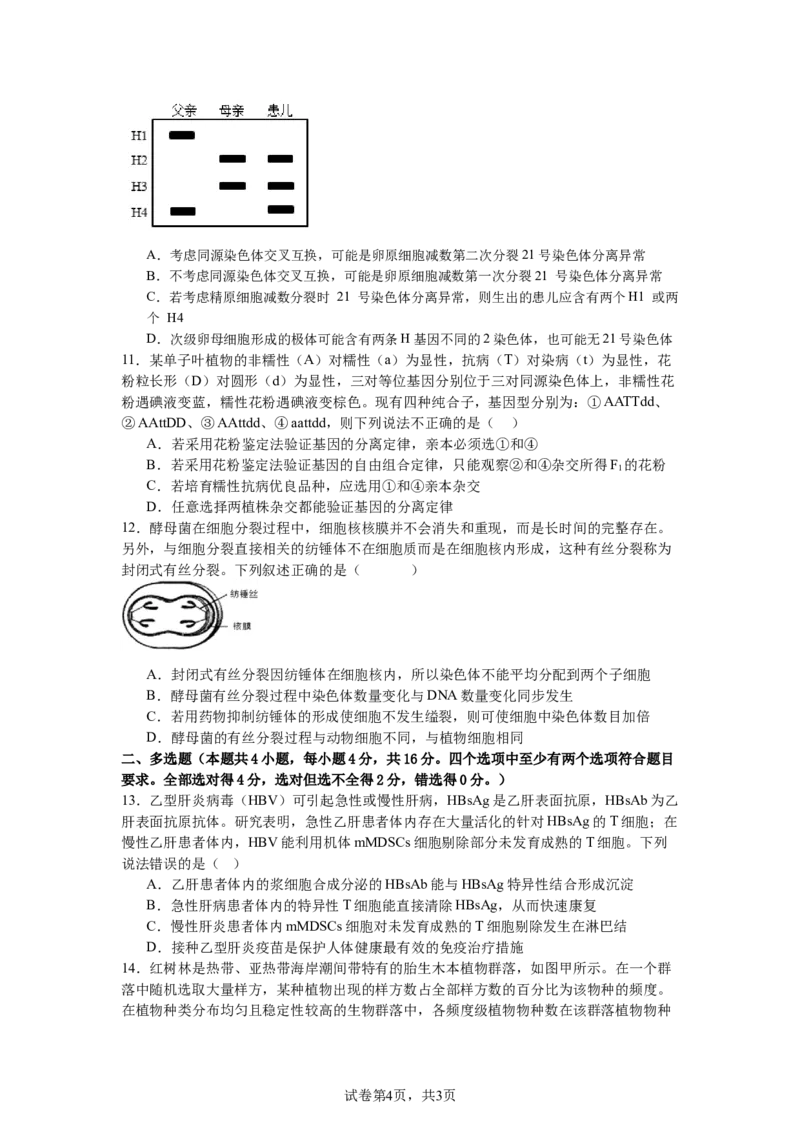 南昌十九中2024-2025学年第二学期2月月考高三生物+答案_2025年2月_250223江西省南昌市第十九中学2024-2025学年高三下学期2月月考（全科）