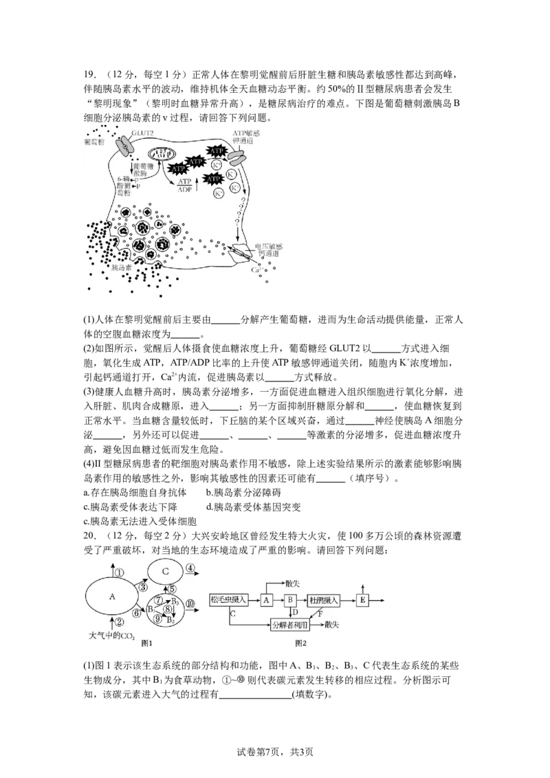 南昌十九中2024-2025学年第二学期2月月考高三生物+答案_2025年2月_250223江西省南昌市第十九中学2024-2025学年高三下学期2月月考（全科）