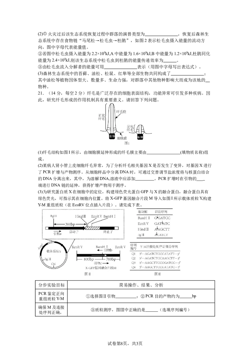 南昌十九中2024-2025学年第二学期2月月考高三生物+答案_2025年2月_250223江西省南昌市第十九中学2024-2025学年高三下学期2月月考（全科）