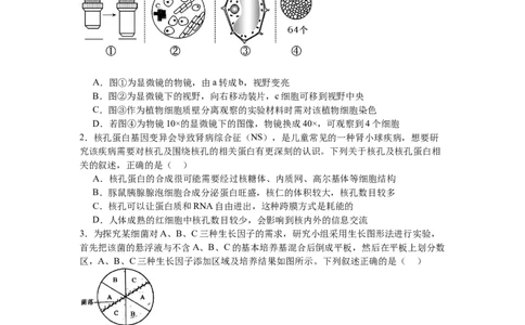 南昌十九中2024-2025学年第二学期2月月考高三生物+答案_2025年2月_250223江西省南昌市第十九中学2024-2025学年高三下学期2月月考（全科）
