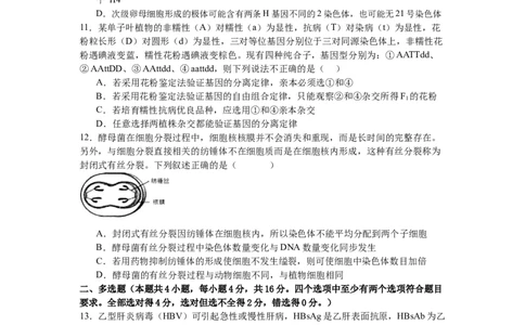 南昌十九中2024-2025学年第二学期2月月考高三生物+答案_2025年2月_250223江西省南昌市第十九中学2024-2025学年高三下学期2月月考（全科）