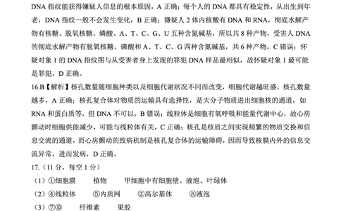 生物答案(1)_1多考区联考_1110百师联盟2024-2025学年高二上学期11月期中考试_百师联盟2024-2025学年高二上学期11月期中考试生物