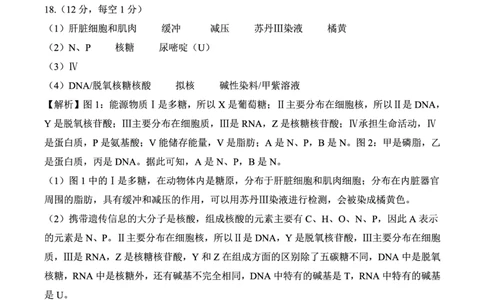 生物答案(1)_1多考区联考_1110百师联盟2024-2025学年高二上学期11月期中考试_百师联盟2024-2025学年高二上学期11月期中考试生物