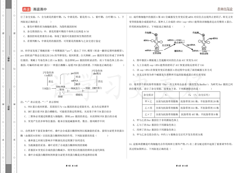 (8.22)-点睛押题卷&mdash;&mdash;湖北卷_2024高考押题卷_132024高途全系列_26高途点睛卷_2024点睛密卷-生物