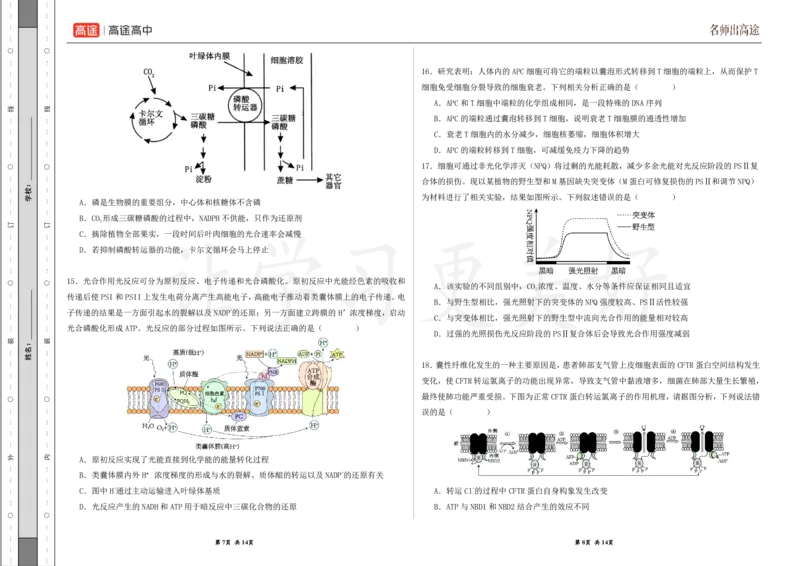 (8.22)-点睛押题卷&mdash;&mdash;湖北卷_2024高考押题卷_132024高途全系列_26高途点睛卷_2024点睛密卷-生物
