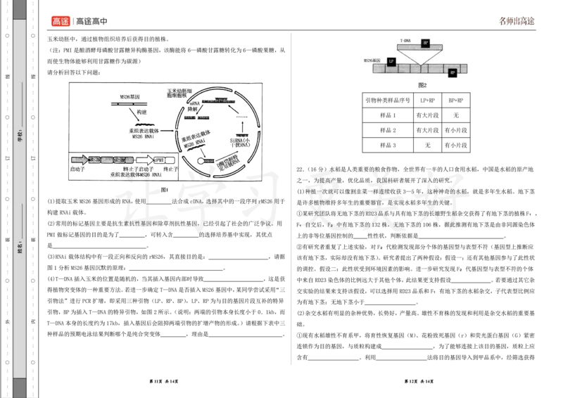(8.22)-点睛押题卷&mdash;&mdash;湖北卷_2024高考押题卷_132024高途全系列_26高途点睛卷_2024点睛密卷-生物