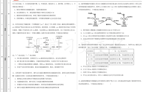 (8.22)-点睛押题卷&mdash;&mdash;湖北卷_2024高考押题卷_132024高途全系列_26高途点睛卷_2024点睛密卷-生物