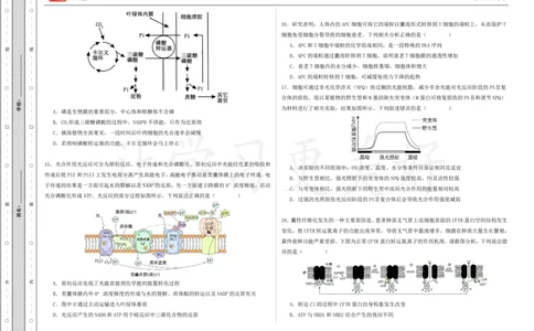 (8.22)-点睛押题卷&mdash;&mdash;湖北卷_2024高考押题卷_132024高途全系列_26高途点睛卷_2024点睛密卷-生物
