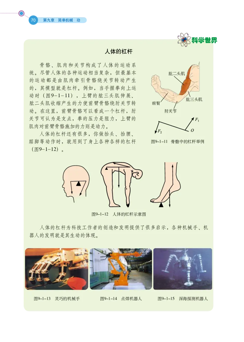 鲁科版8年级物理下册高清教材_4-教培资料-26年最新资料-同步更新_初中高中教资_03科三专项（进去保存报考的学科即可）_02科三专项（笔记真题思维导图教学设计版本二）