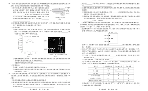 26届8月江西高三开学考试&middot;生物8.13_2025年8月_250829江西省上进联考2025-2026学年新高三秋季入学摸底考试