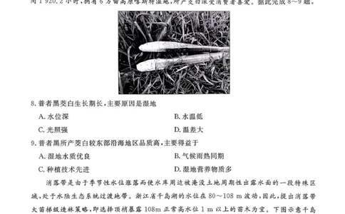 2025&mdash;2026学年高三9月高三质量检测地理试题_2025年9月_250915河南省青桐鸣2025-2026学年高三上学期9月质量检测考试