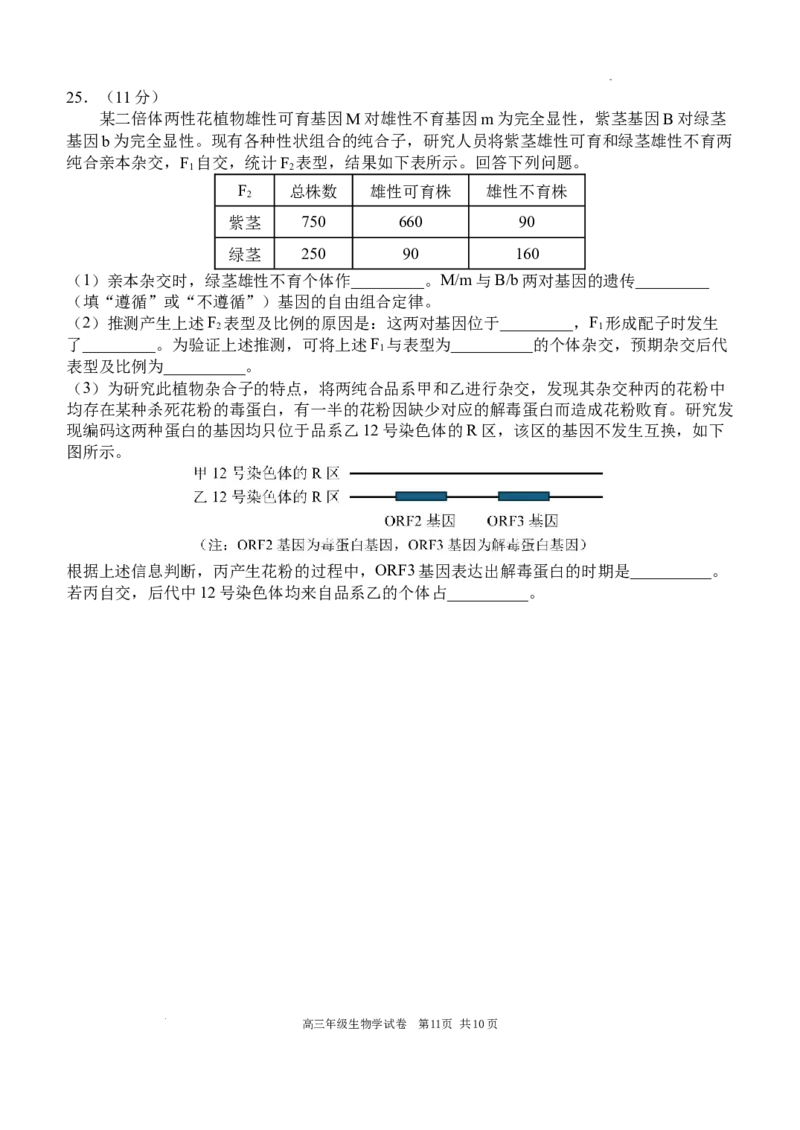 2025-2026学年度上学期高中学段高三联合考试生物学试题_2025年10月_12026年试卷教辅资源等多个文件_251024辽宁省沈阳市东北育才学校等校2026届高三上学期10月联合考试（全科）