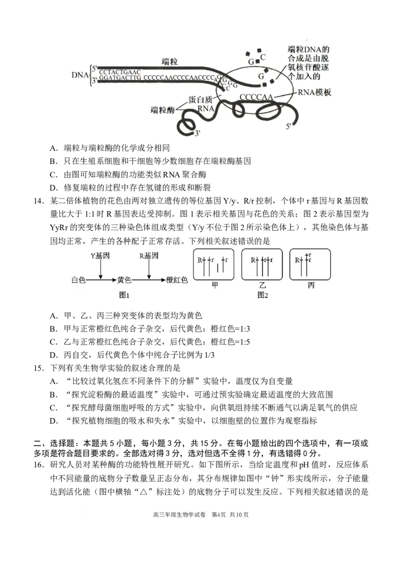 2025-2026学年度上学期高中学段高三联合考试生物学试题_2025年10月_12026年试卷教辅资源等多个文件_251024辽宁省沈阳市东北育才学校等校2026届高三上学期10月联合考试（全科）