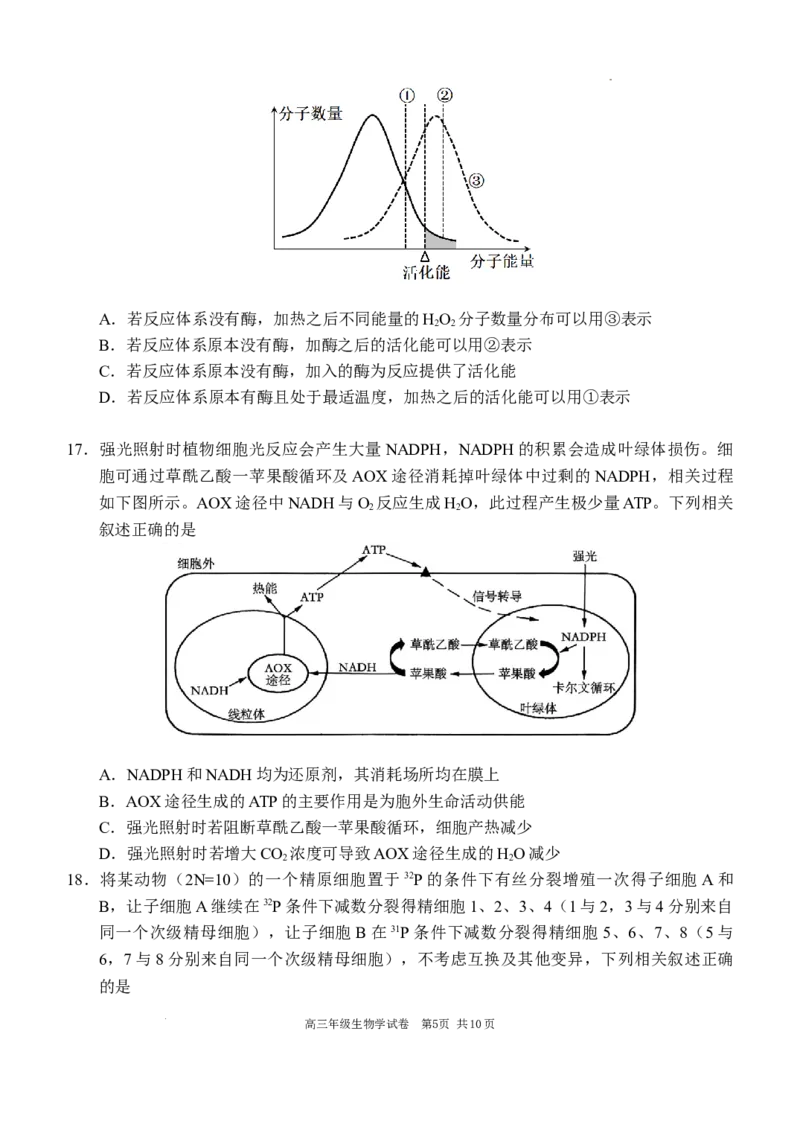 2025-2026学年度上学期高中学段高三联合考试生物学试题_2025年10月_12026年试卷教辅资源等多个文件_251024辽宁省沈阳市东北育才学校等校2026届高三上学期10月联合考试（全科）