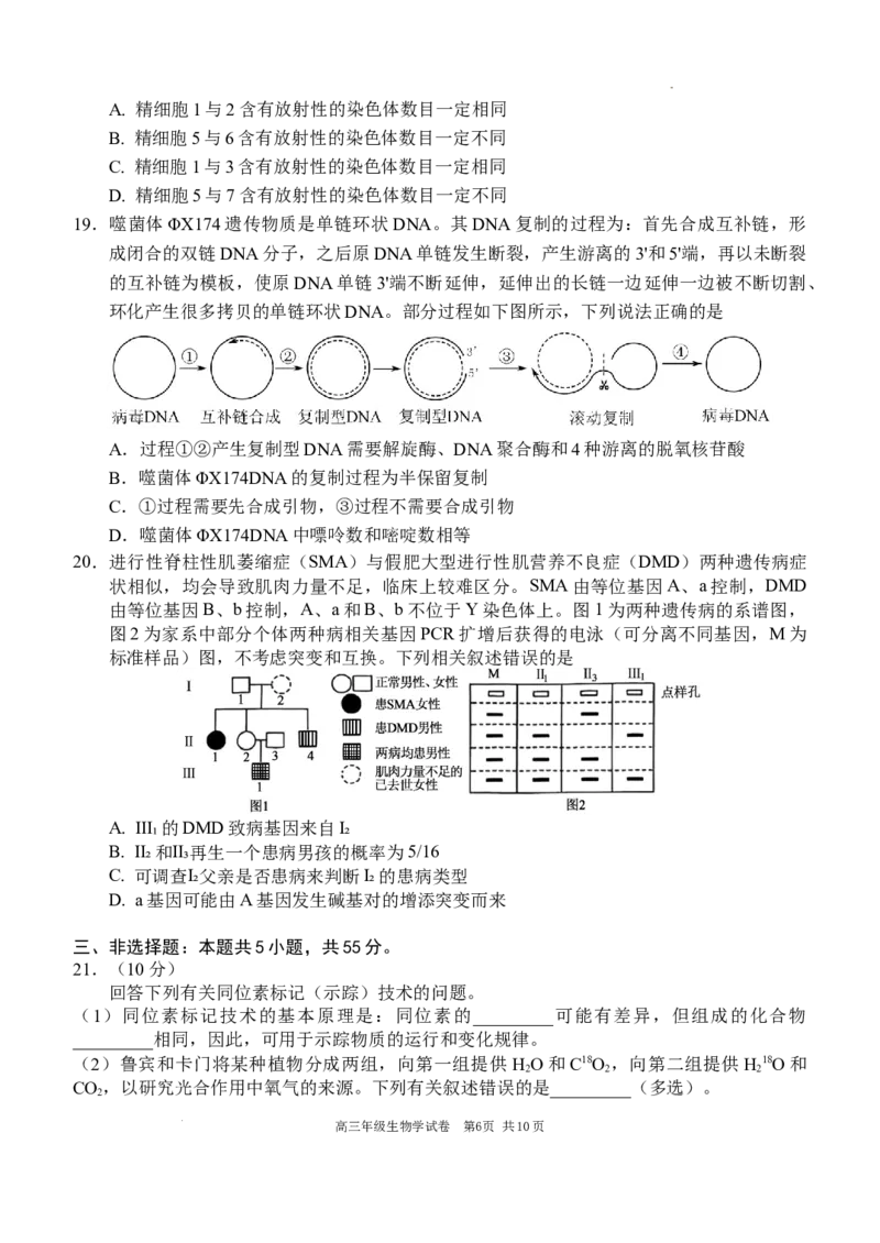2025-2026学年度上学期高中学段高三联合考试生物学试题_2025年10月_12026年试卷教辅资源等多个文件_251024辽宁省沈阳市东北育才学校等校2026届高三上学期10月联合考试（全科）