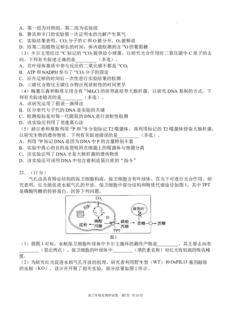 2025-2026学年度上学期高中学段高三联合考试生物学试题_2025年10月_12026年试卷教辅资源等多个文件_251024辽宁省沈阳市东北育才学校等校2026届高三上学期10月联合考试（全科）