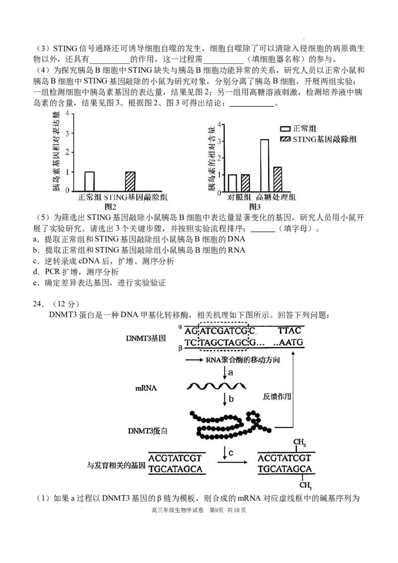 2025-2026学年度上学期高中学段高三联合考试生物学试题_2025年10月_12026年试卷教辅资源等多个文件_251024辽宁省沈阳市东北育才学校等校2026届高三上学期10月联合考试（全科）