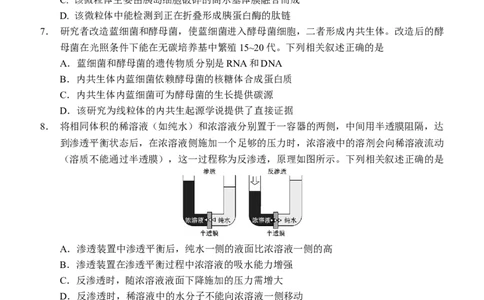 2025-2026学年度上学期高中学段高三联合考试生物学试题_2025年10月_12026年试卷教辅资源等多个文件_251024辽宁省沈阳市东北育才学校等校2026届高三上学期10月联合考试（全科）