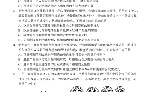 2025-2026学年度上学期高中学段高三联合考试生物学试题_2025年10月_12026年试卷教辅资源等多个文件_251024辽宁省沈阳市东北育才学校等校2026届高三上学期10月联合考试（全科）