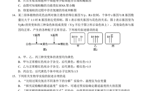 2025-2026学年度上学期高中学段高三联合考试生物学试题_2025年10月_12026年试卷教辅资源等多个文件_251024辽宁省沈阳市东北育才学校等校2026届高三上学期10月联合考试（全科）