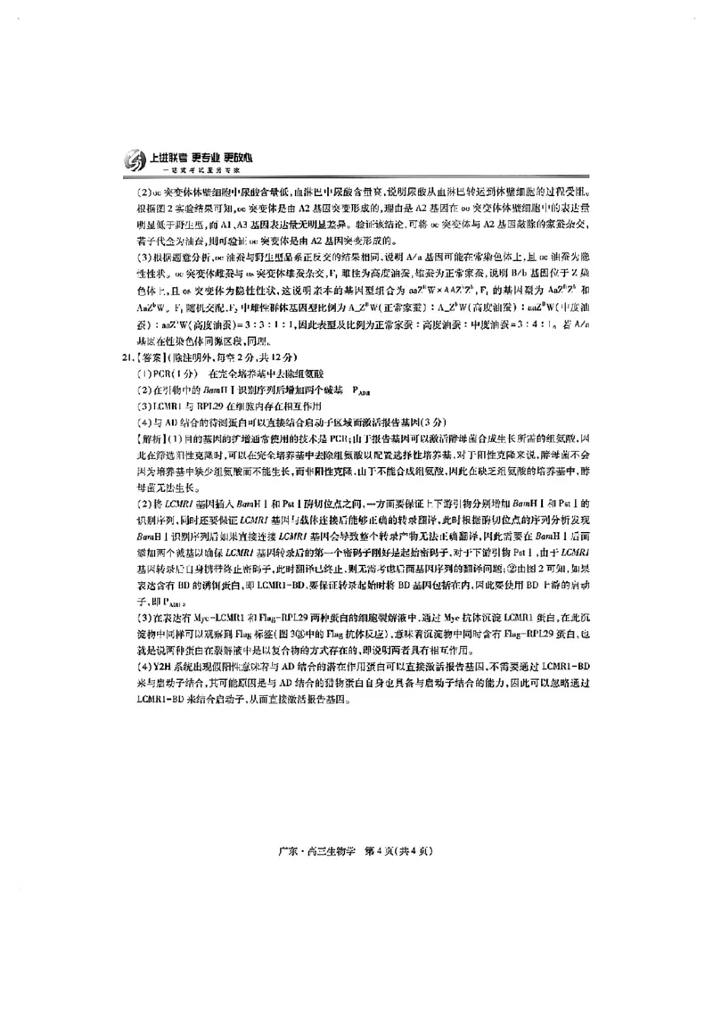 上进联考-2025届广东省高三5月联合测评-生物答案_2025年5月_250514广东上进联考2025届高三5月联合测评（全科）