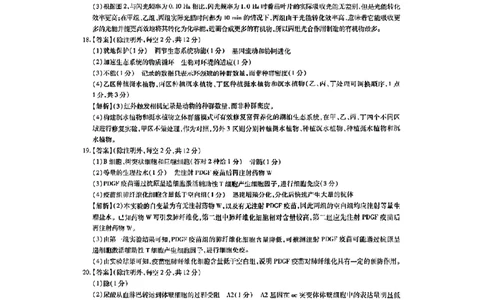 上进联考-2025届广东省高三5月联合测评-生物答案_2025年5月_250514广东上进联考2025届高三5月联合测评（全科）