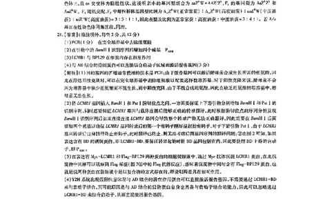 上进联考-2025届广东省高三5月联合测评-生物答案_2025年5月_250514广东上进联考2025届高三5月联合测评（全科）