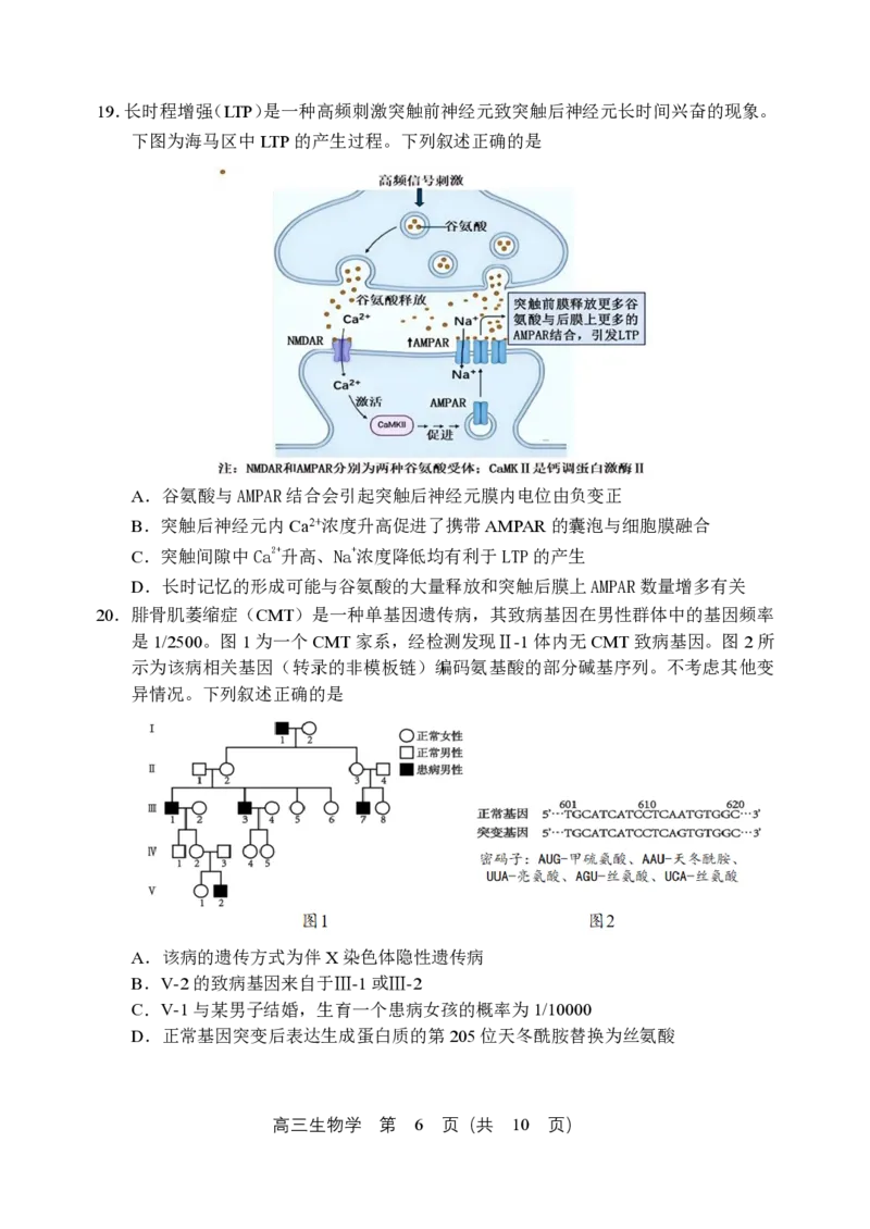 2025年沈阳市高考三模生物试题_2025年5月_250515辽宁省沈阳市2025届高三下学期教学质量监测（三）（全科）