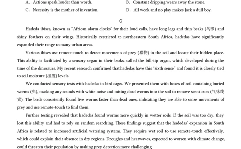 2025届重庆康德一诊英语_2025年1月_250119重庆市2025年普通高等学校招生全国统一考试（康德一诊）（全科）_英语