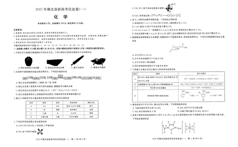 2025年湖北省新高考信息卷（一）化学_2025年5月_2505162025年湖北省新高考信息卷（一）（全科）
