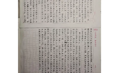 作业3答案_2026考公资料_（28）上岸村合集（司马、章晓铭、王永恒、天晓、忠政、丁旭等）_2025合集_4忠政合集_申论2024国考忠政申论批改班_32期批改班