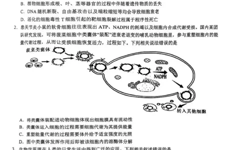 2025届安徽省安庆市高三二模生物试题_2025年3月_250323安徽省安庆市2025届高三第二次模拟（全科）_安徽省安庆市2025届高三第二次模拟生物学