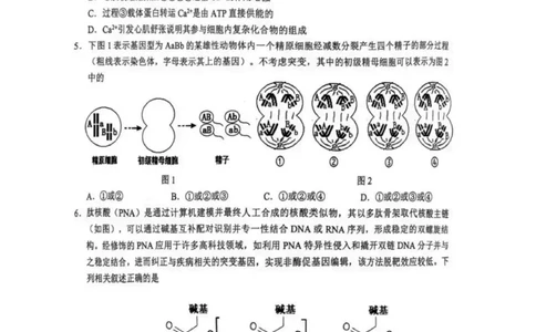2025届安徽省安庆市高三二模生物试题_2025年3月_250323安徽省安庆市2025届高三第二次模拟（全科）_安徽省安庆市2025届高三第二次模拟生物学