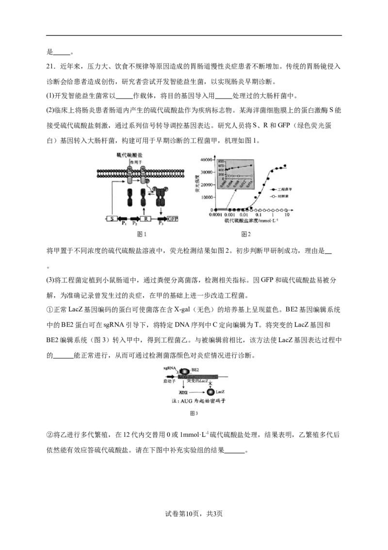 北京市西城区2024-2025学年高三上学期期末考试生物试卷_2025年1月_250117北京市西城区2024-2025学年高三上学期期末考试试题（全科）